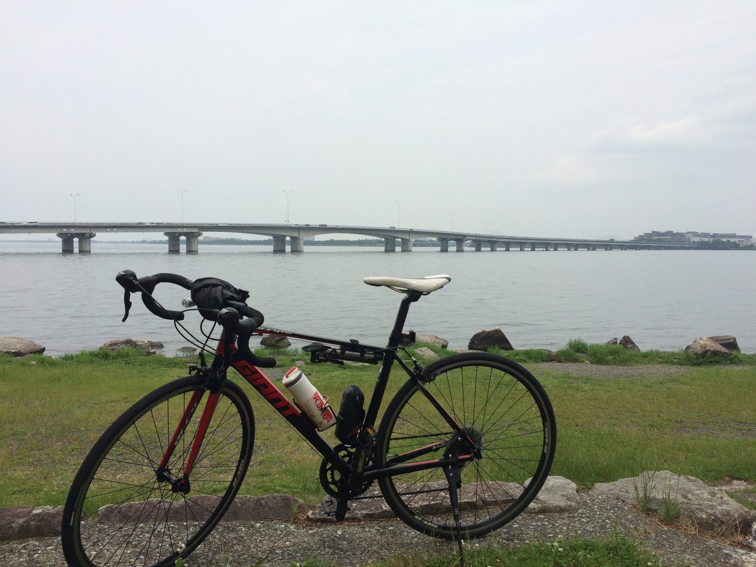 ロードバイク初心者、大阪淀川～琵琶湖を目指すも帰れなくなるの巻 トラベルパスタ